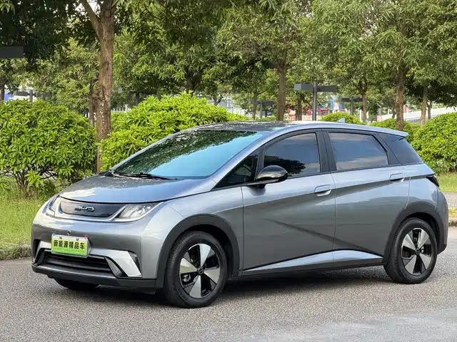2023 BYD Dolphin