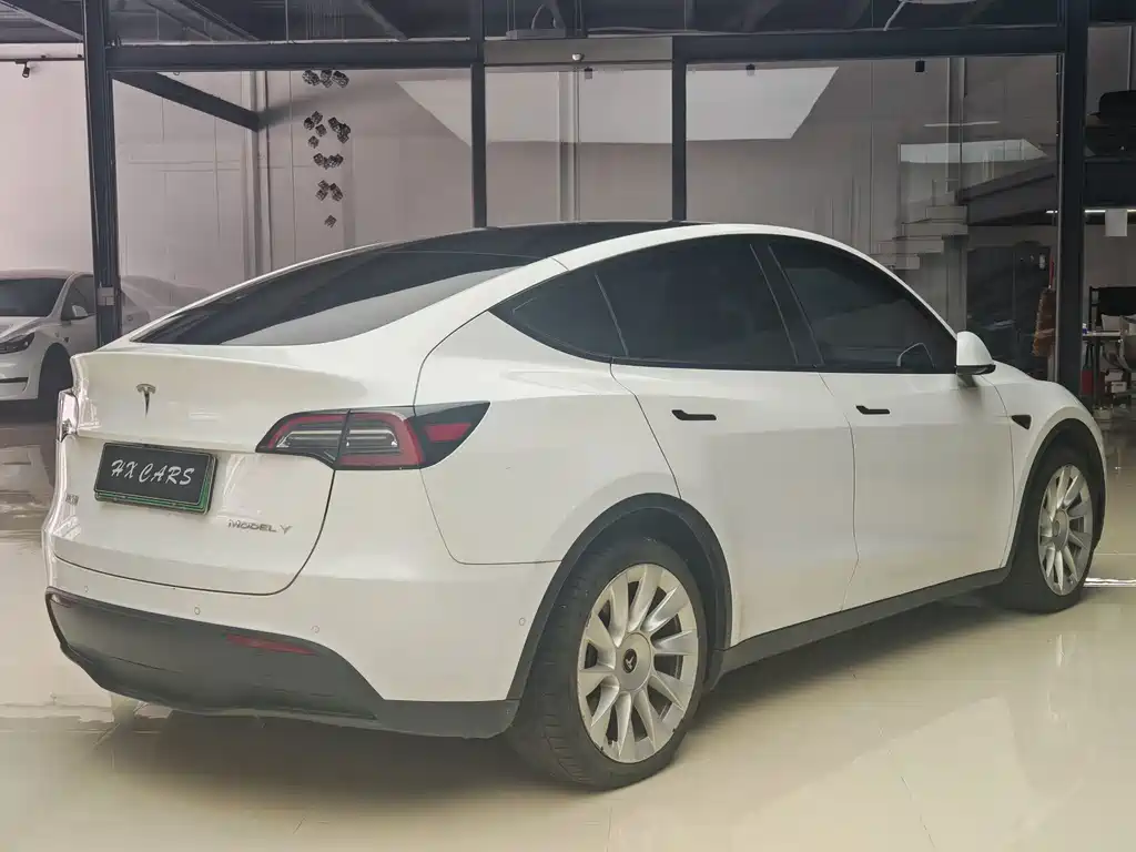 Tesla Model Y — миниатюра 6