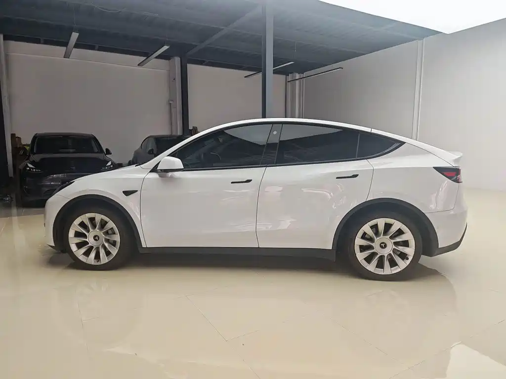 Tesla Model Y — миниатюра 8