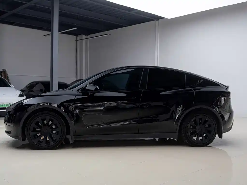 Tesla Model Y — миниатюра 3