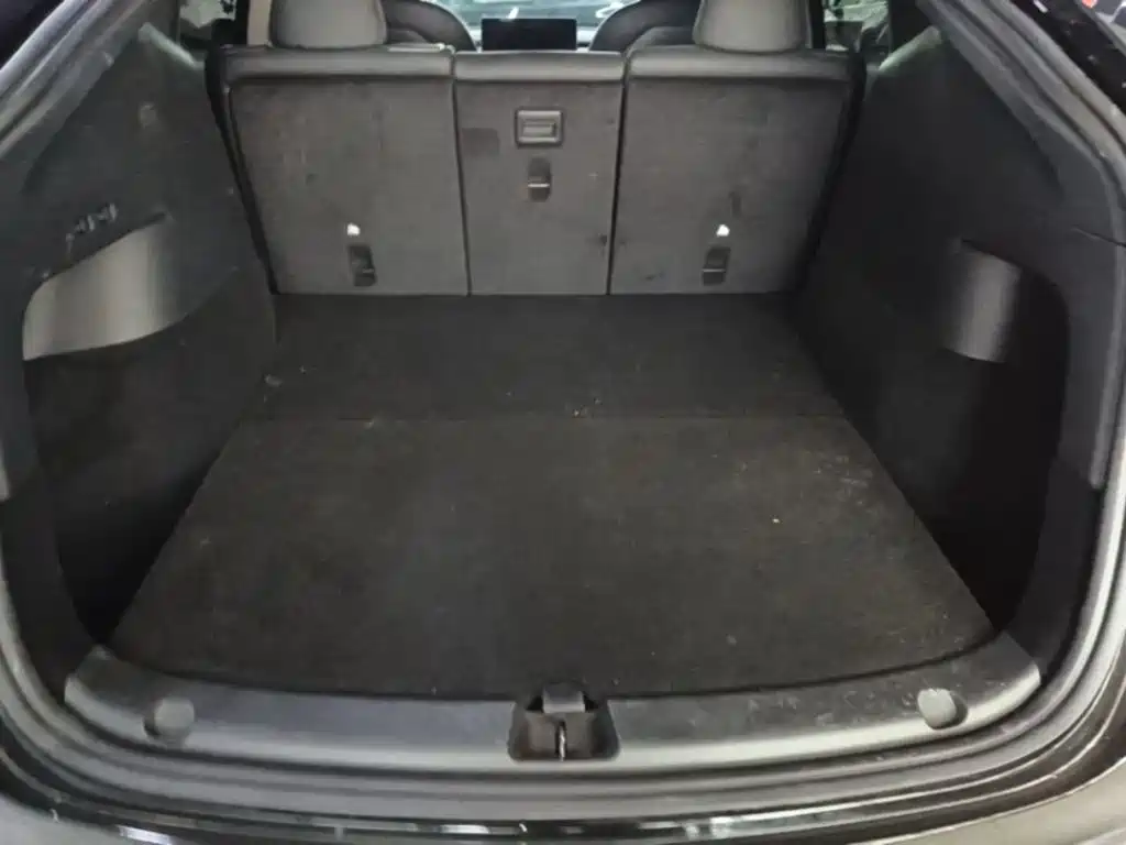 Tesla Model Y — миниатюра 19
