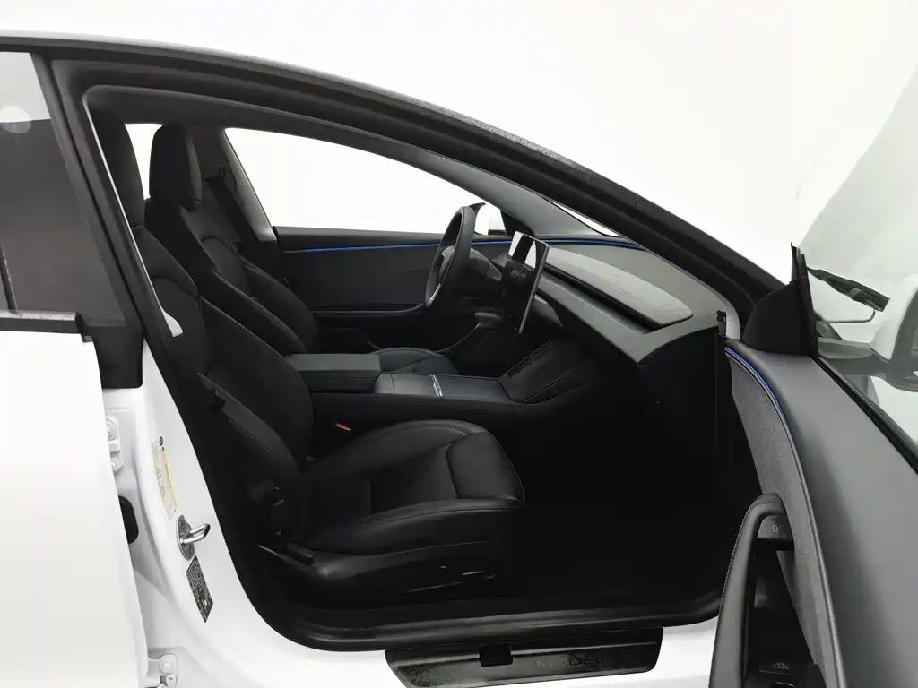 Tesla Model 3 — миниатюра 23