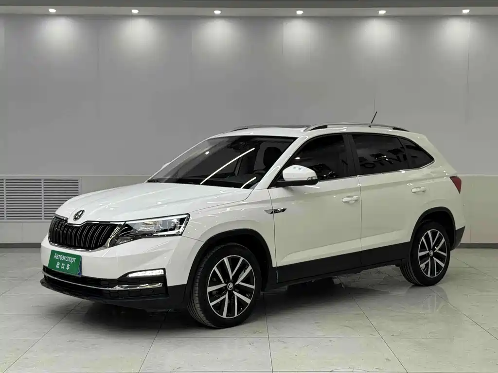 Купить Skoda Kamiq