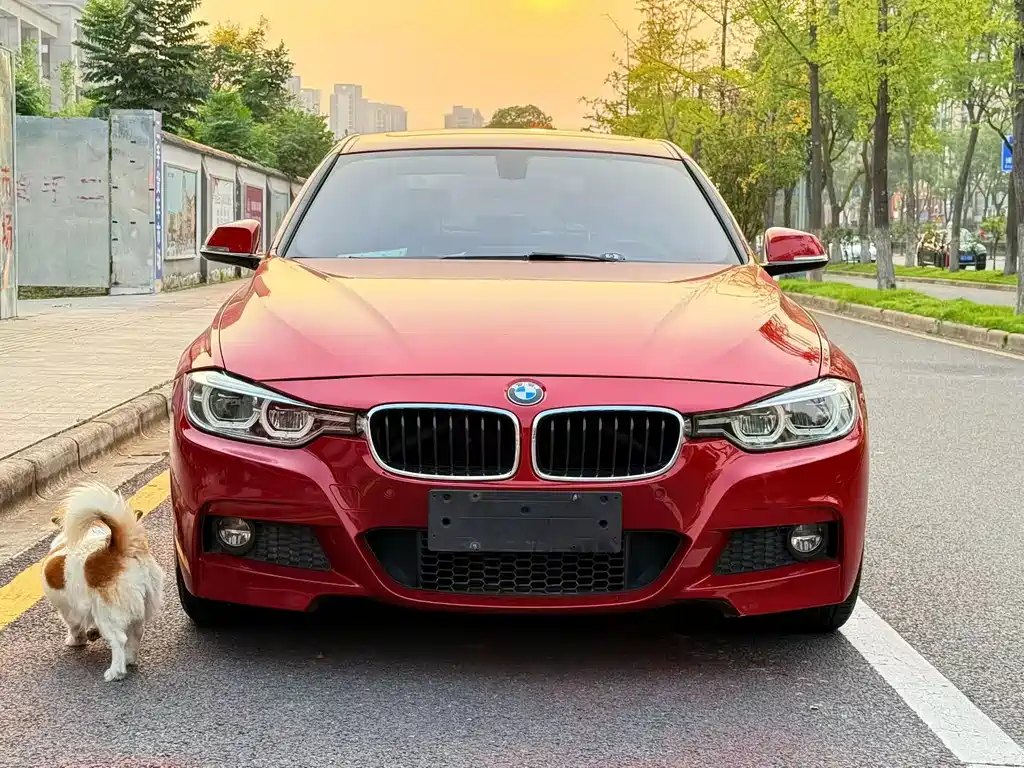 BMW 3 Series — миниатюра 2