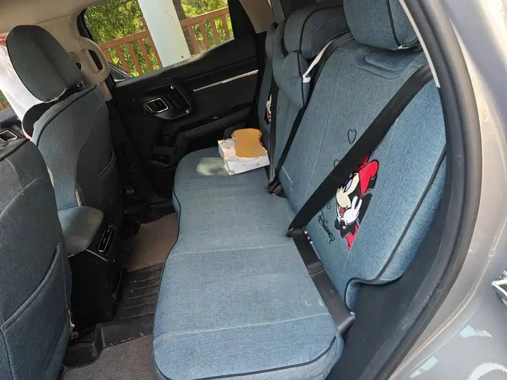 Haval Big Dog PLUS New Energy — миниатюра 13