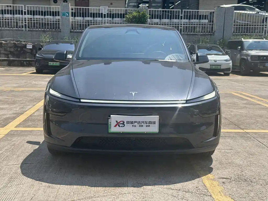 Tesla Model Y — миниатюра 3