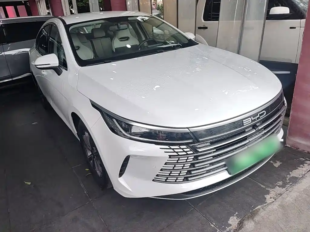 BYD Destroyer 05 2024 DM-i 55KM Luxury