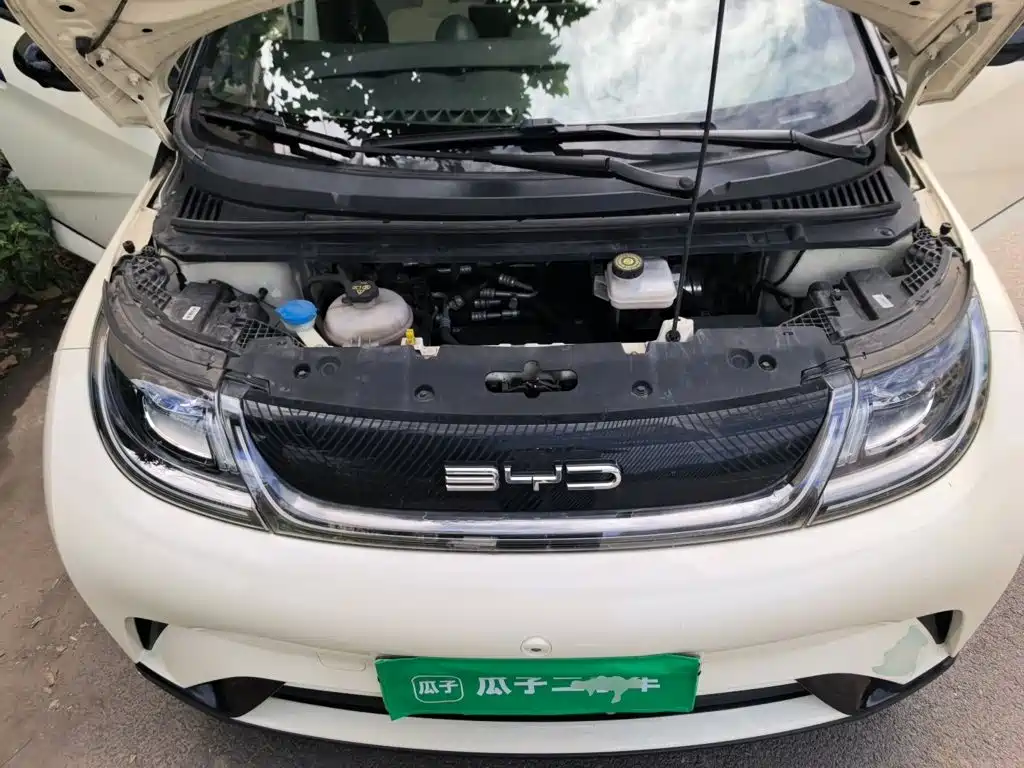 BYD Dolphin — миниатюра 11