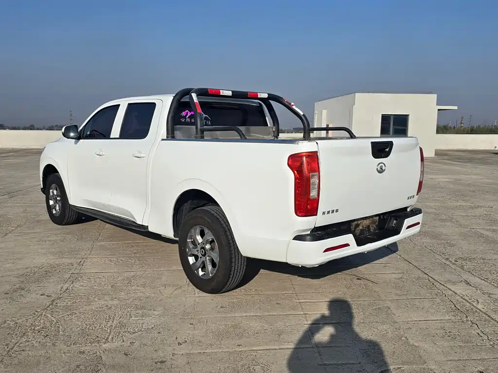 Great Wall Pao — миниатюра 9