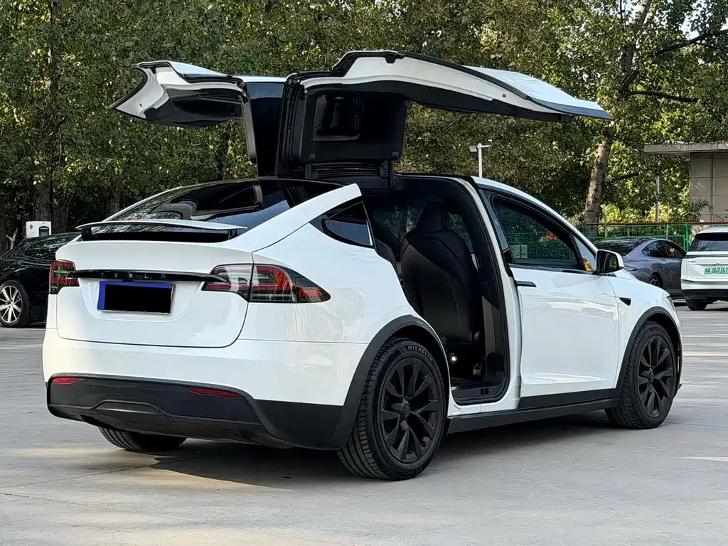 Tesla Model X — миниатюра 5