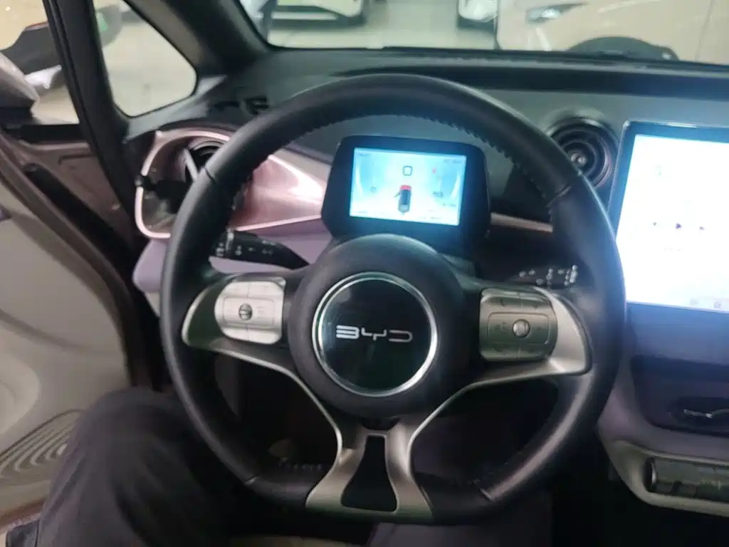 BYD Dolphin — миниатюра 11