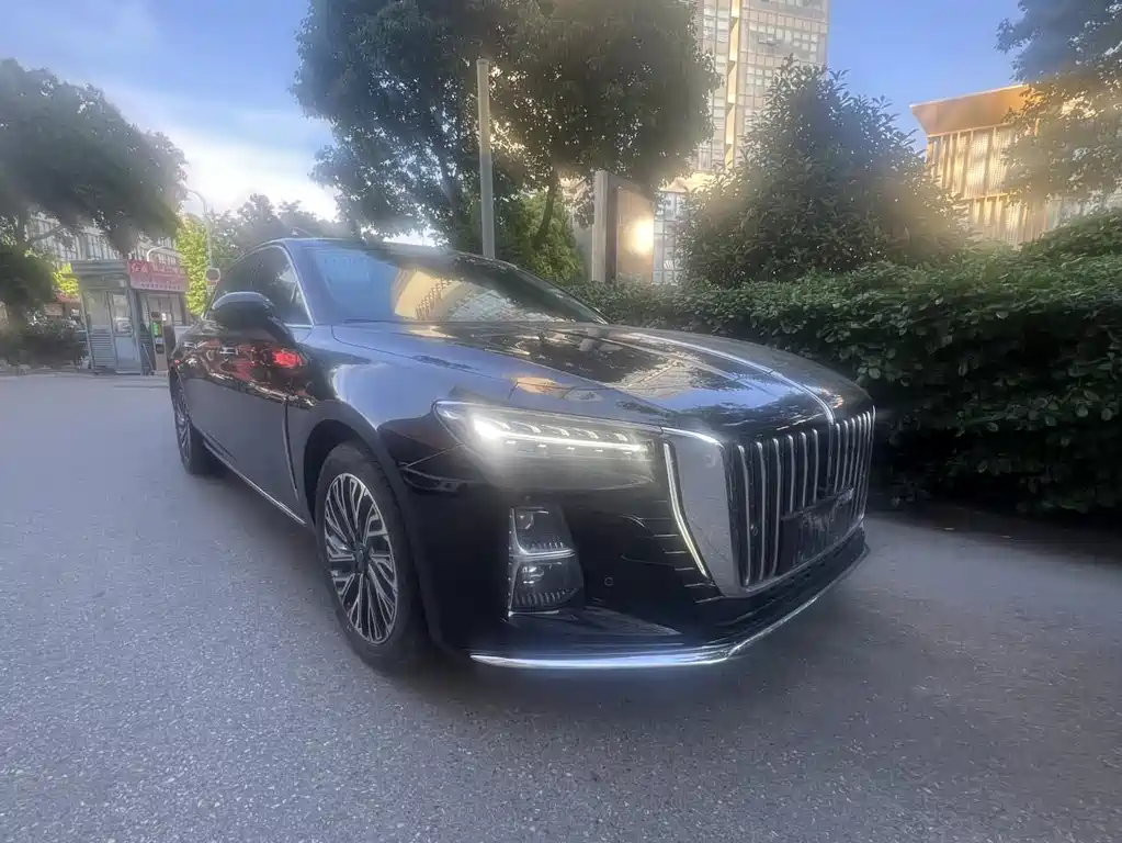 Hongqi Hongqi H5 2024
