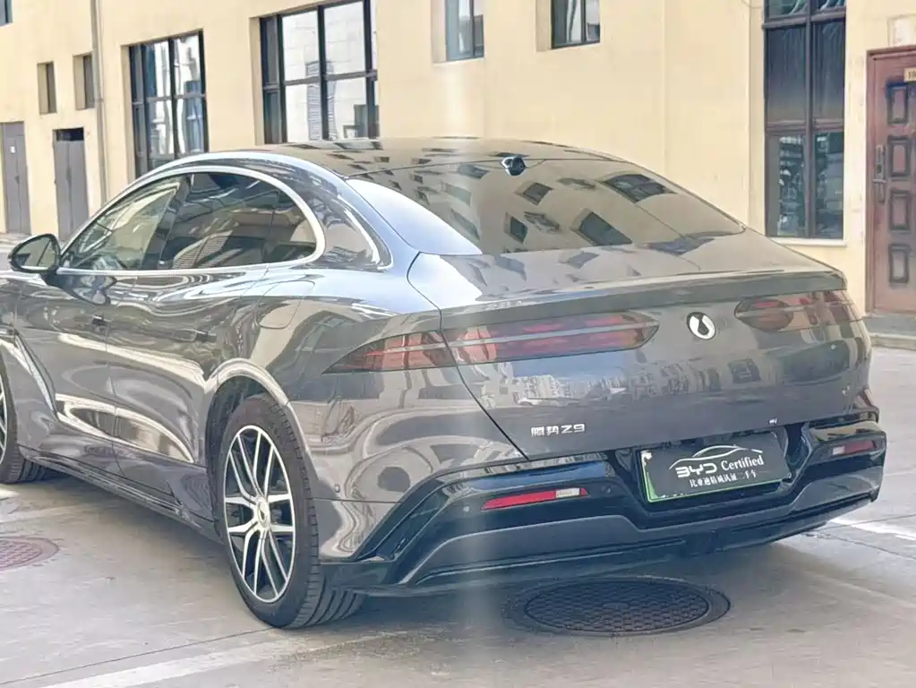 Denza Denza Z9 — миниатюра 10