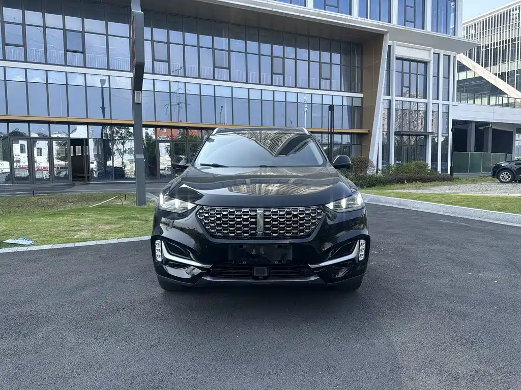 Wey Wey VV6