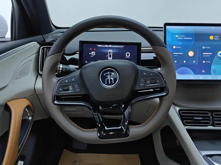 BYD Pro New Energy — миниатюра 15