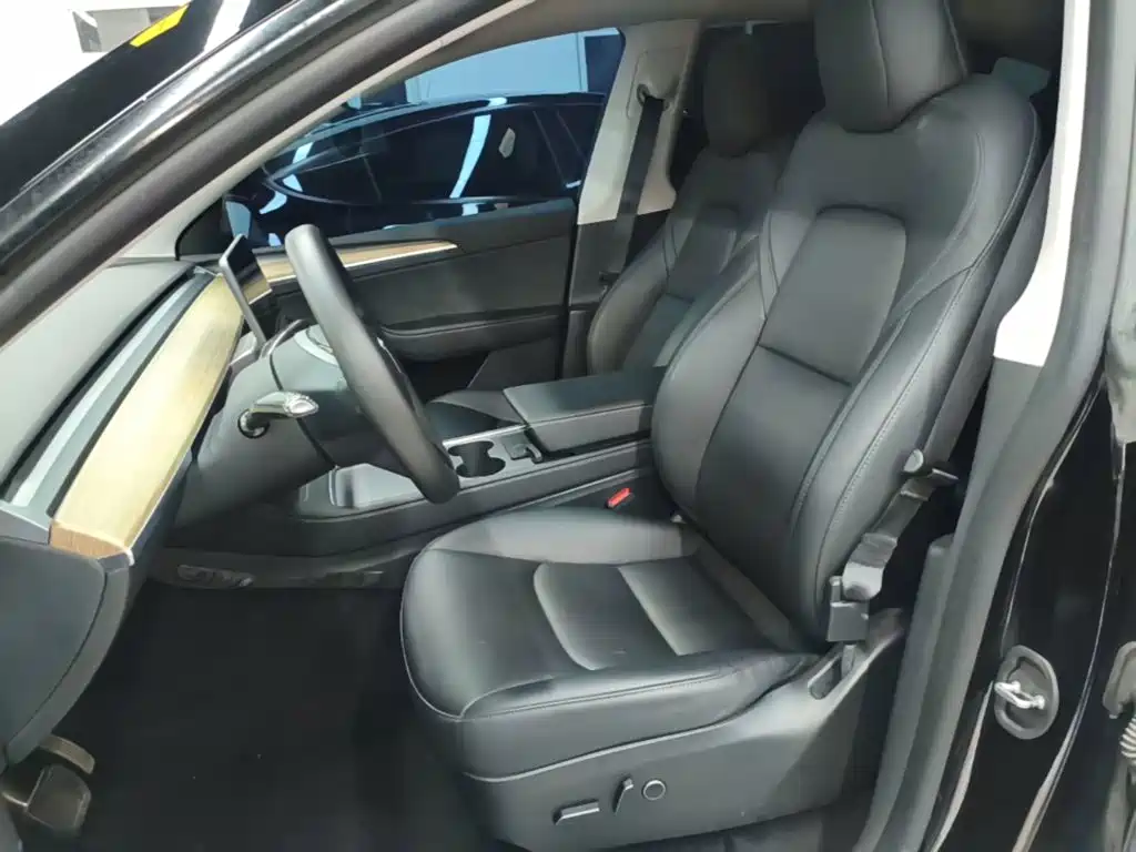 Tesla Model Y — миниатюра 15