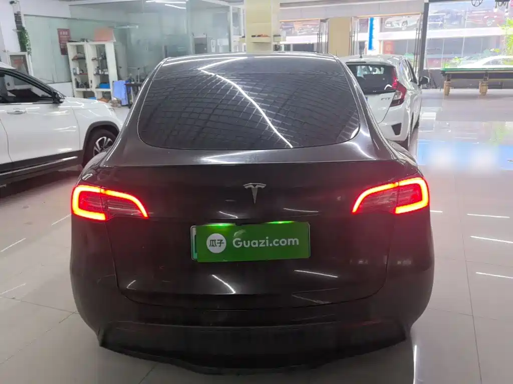 Tesla Model Y — миниатюра 6