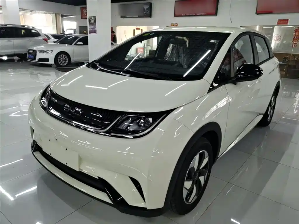 Byd Dolphin 2026