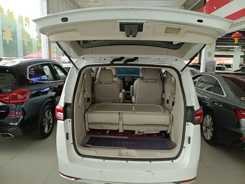 Buick GL8 — миниатюра 19