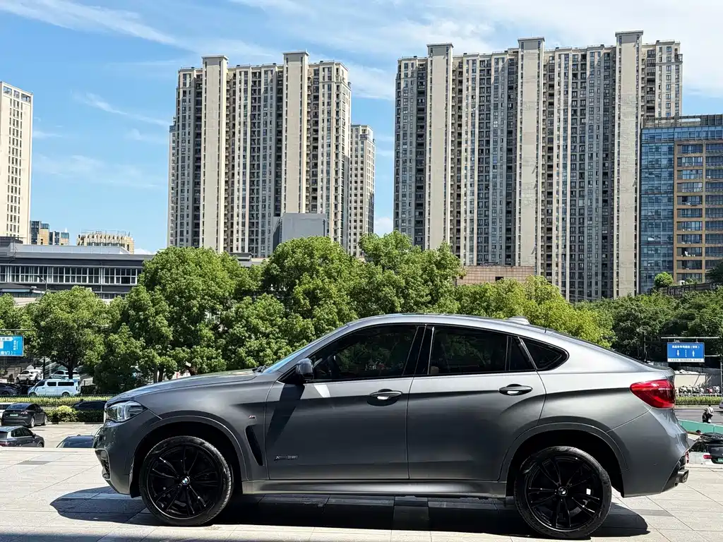 BMW X6 — миниатюра 7