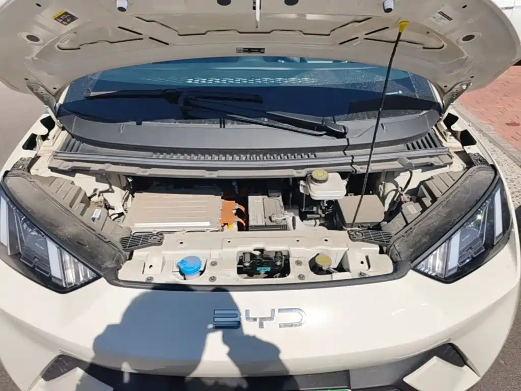 BYD Seagull — миниатюра 20