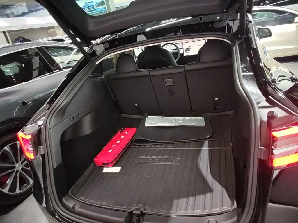 Tesla Model Y — миниатюра 19
