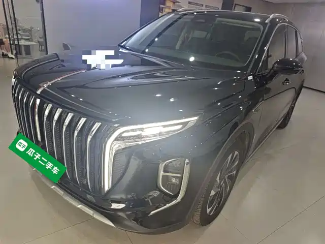 2024 Hongqi HS7