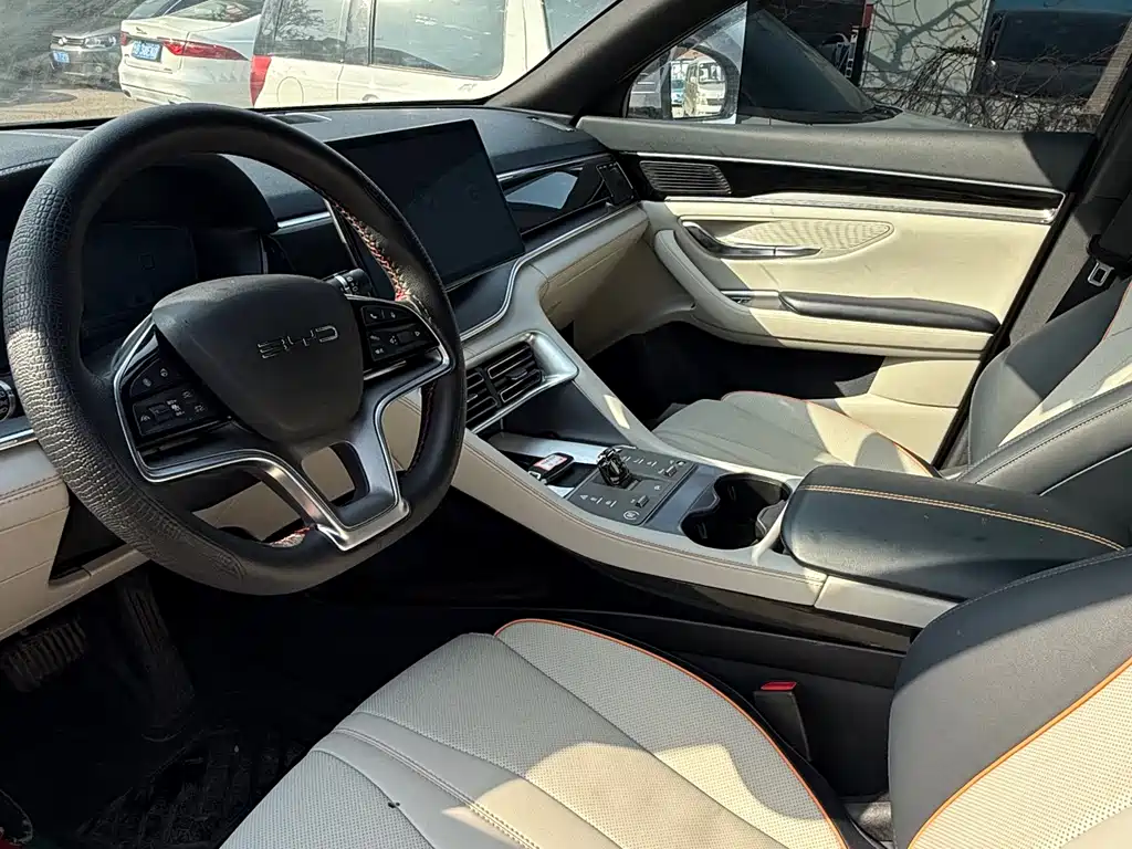 BYD SONGJIANG NEW ENERGY