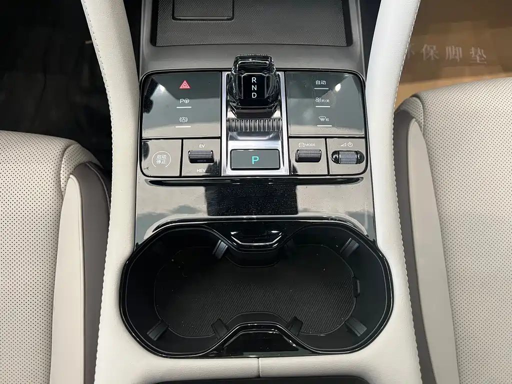 BYD SONGJIANG NEW ENERGY