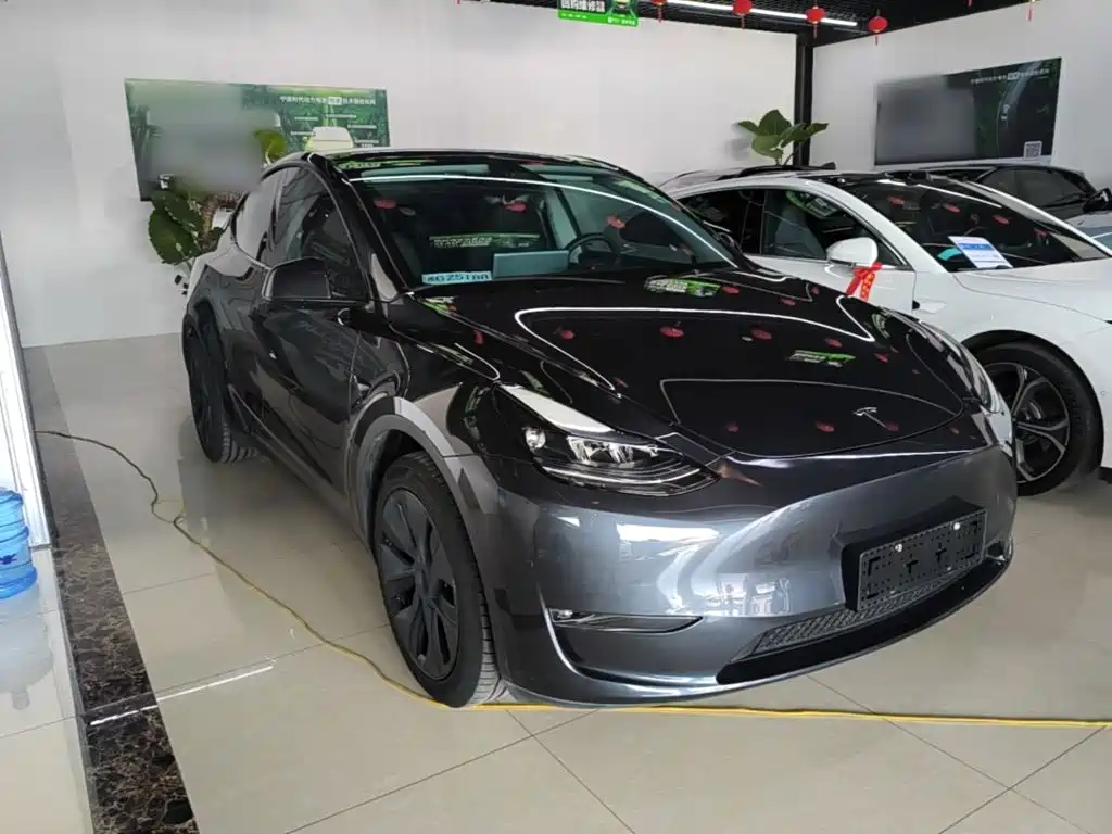 Tesla Model Y — миниатюра 4