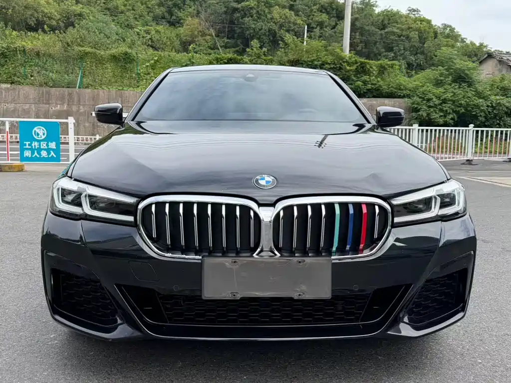 BMW 5 Series — миниатюра 3