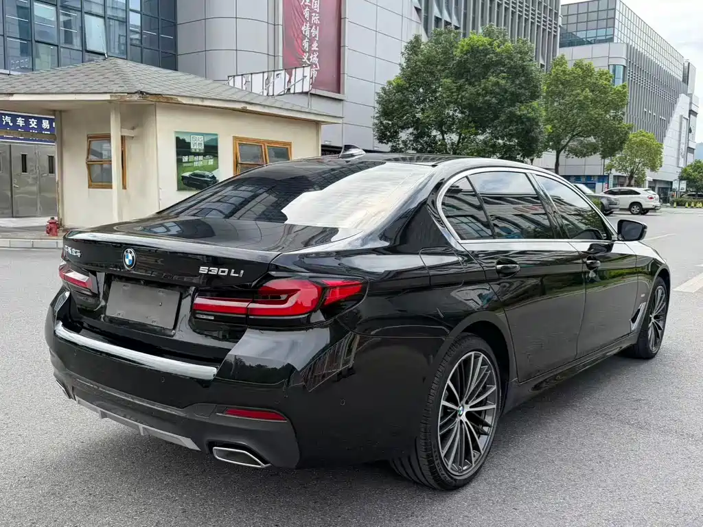 BMW 5 Series — миниатюра 19