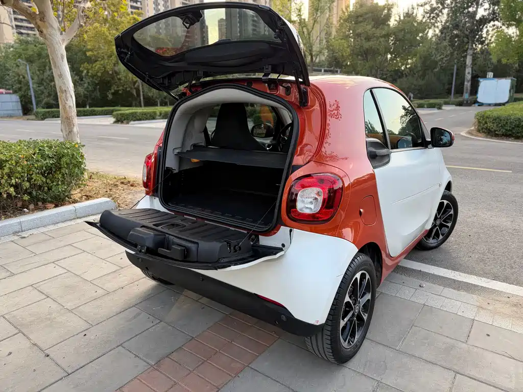 smart Smart Fortwo — миниатюра 16