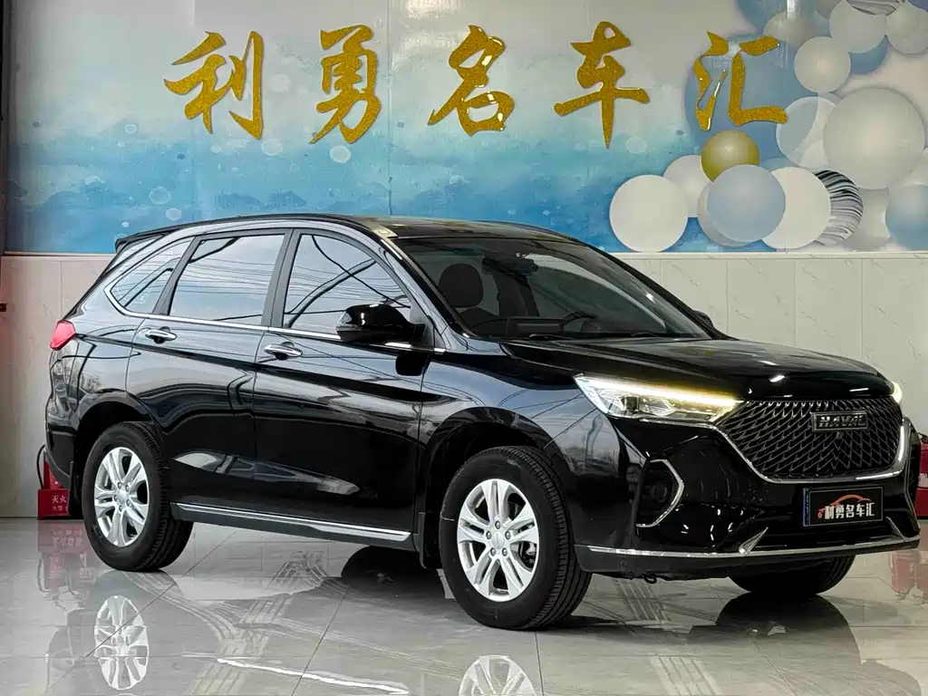HAVAL M6