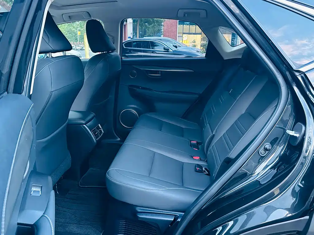 Lexus NX — миниатюра 4