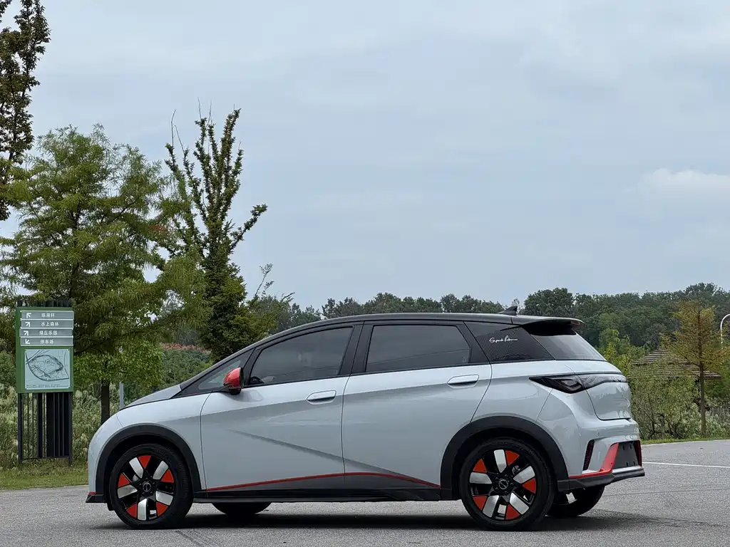 BYD Dolphin — миниатюра 18