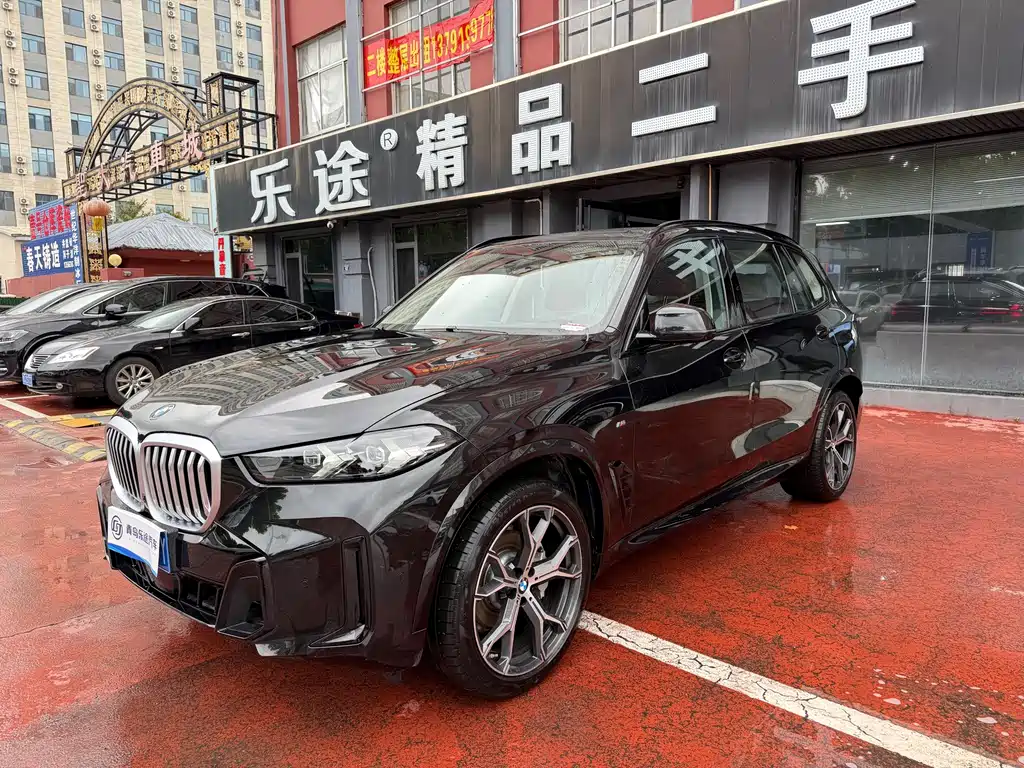 BMW X5 — миниатюра 2