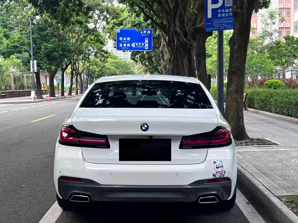 BMW 5 Series (Import) — миниатюра 18