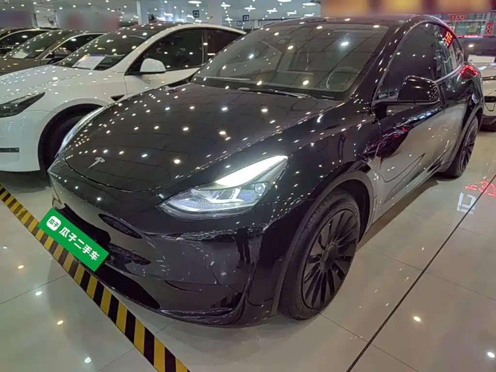 Tesla Model Y — миниатюра 2