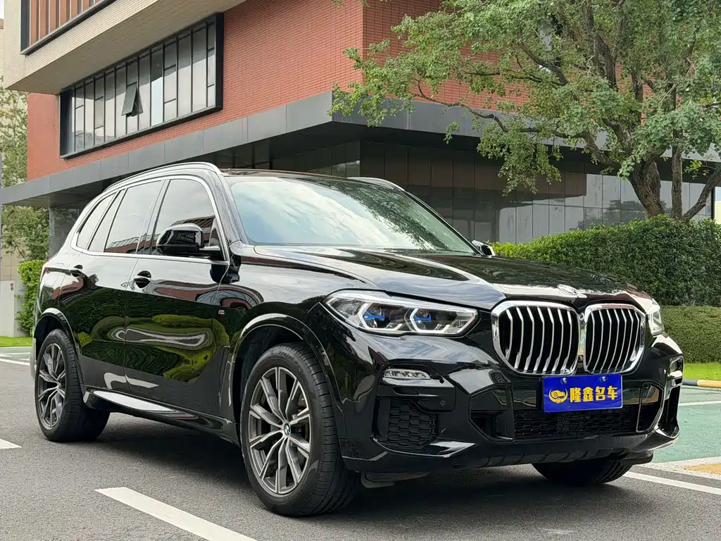 BMW X5 (Import) — миниатюра 9