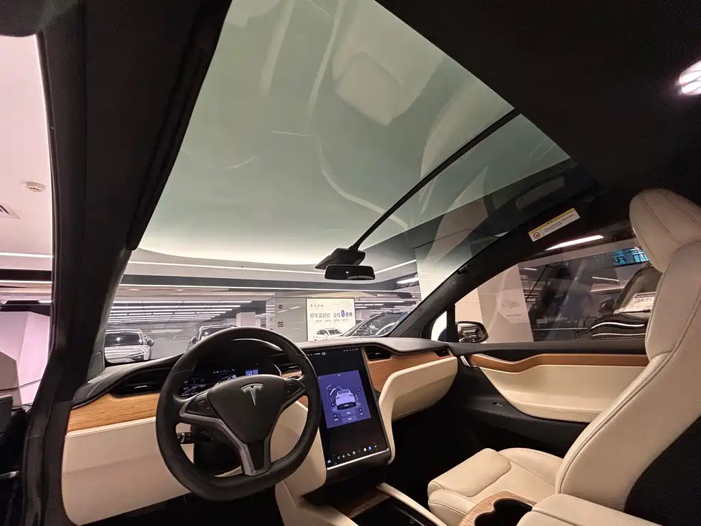 TESLA MODEL X