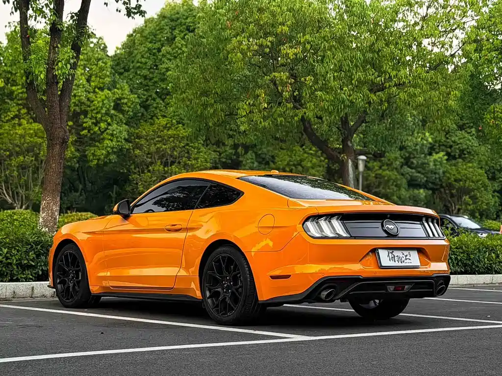 Ford Mustang — миниатюра 6