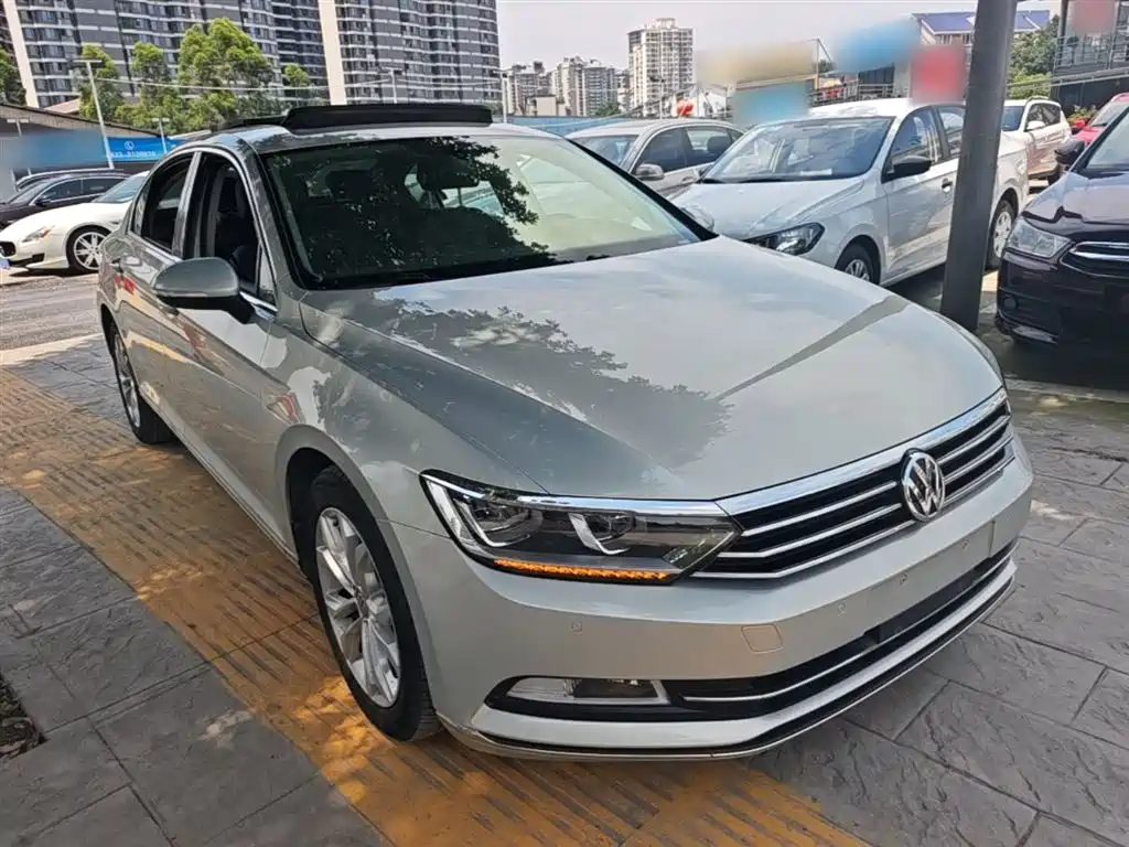 Volkswagen Magotan 2019 330TSI DSG Luxury VI