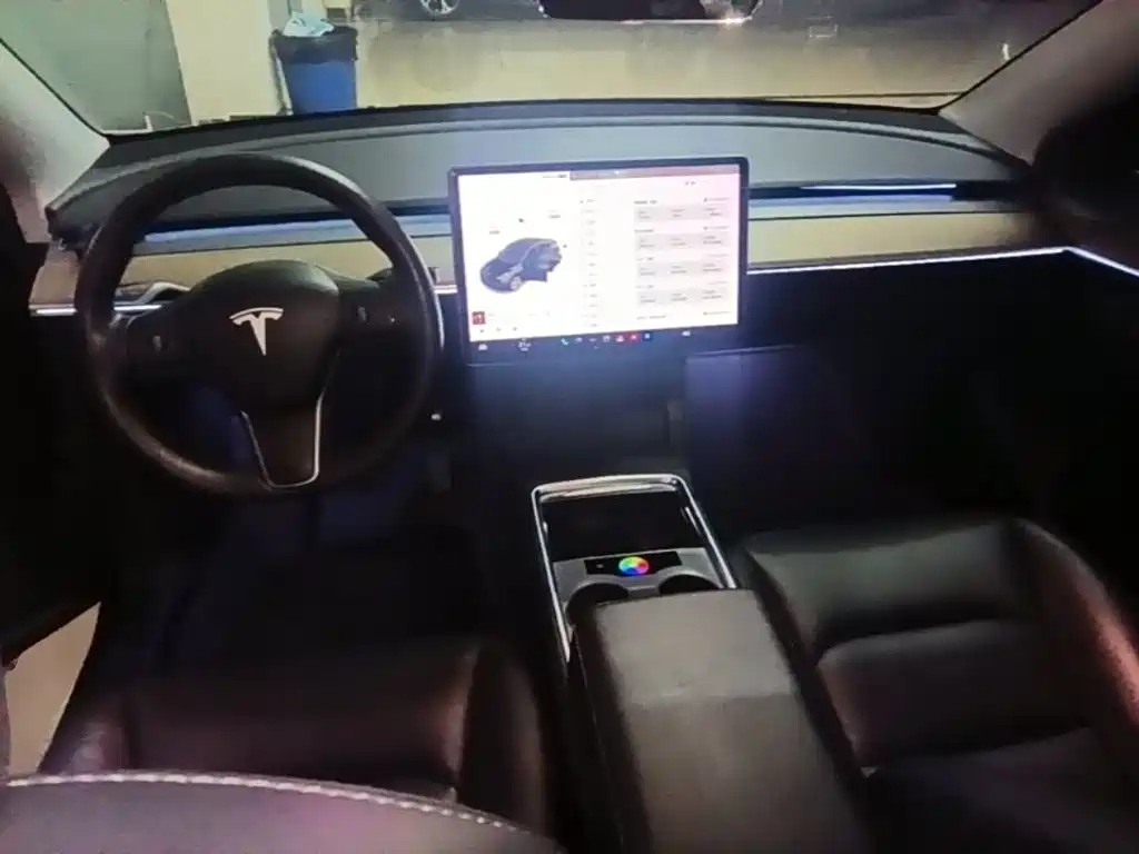 Tesla Model Y — миниатюра 10