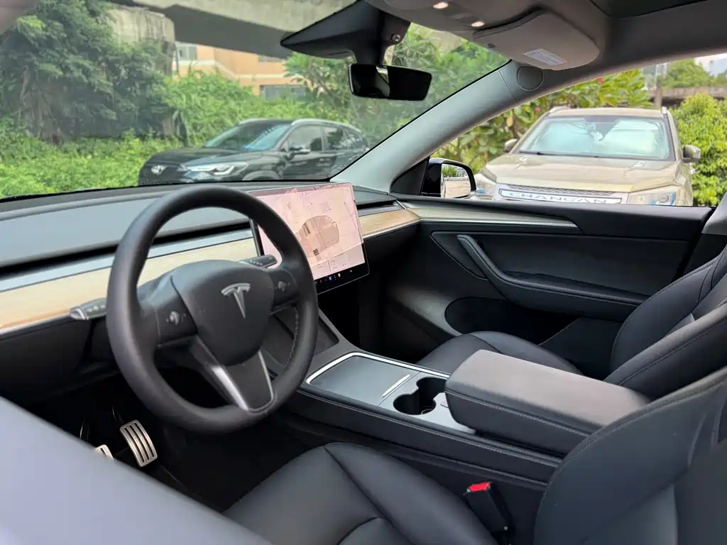 Tesla Model Y — миниатюра 17