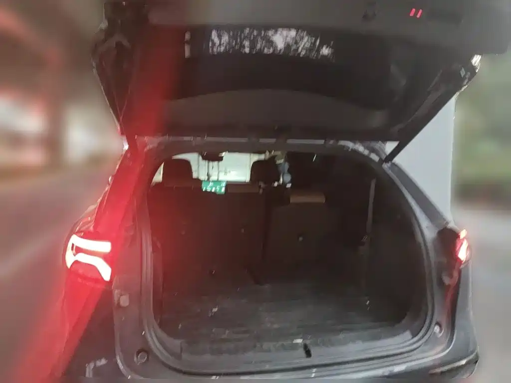 BYD Tang New Energy — миниатюра 10