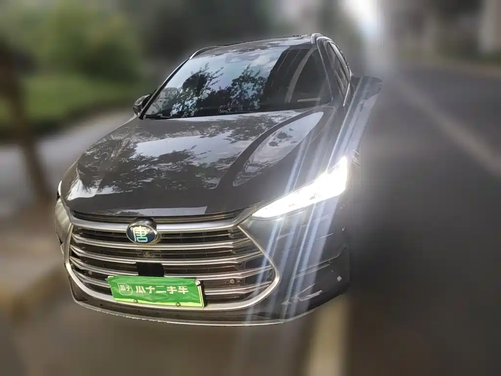 BYD Tang New Energy — миниатюра 24