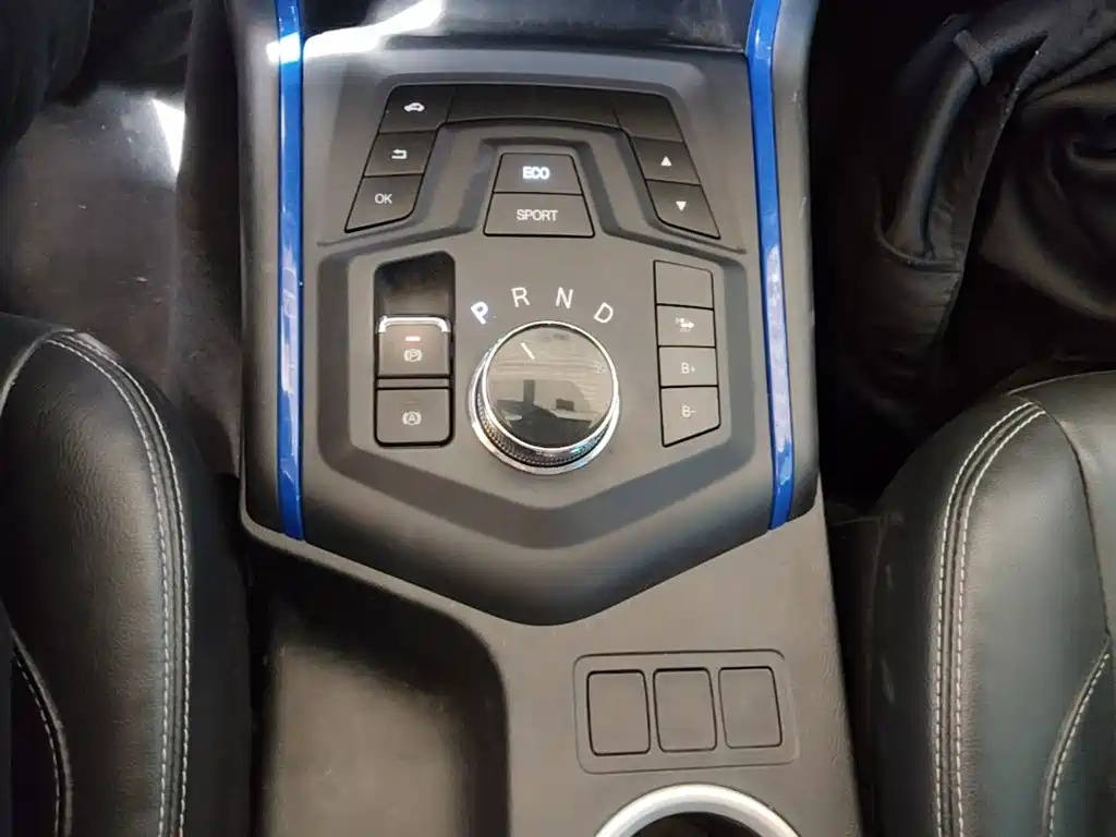 Dongfeng Rich 6 New Energy — миниатюра 14