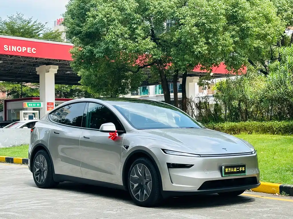 Tesla Model Y L — миниатюра 3