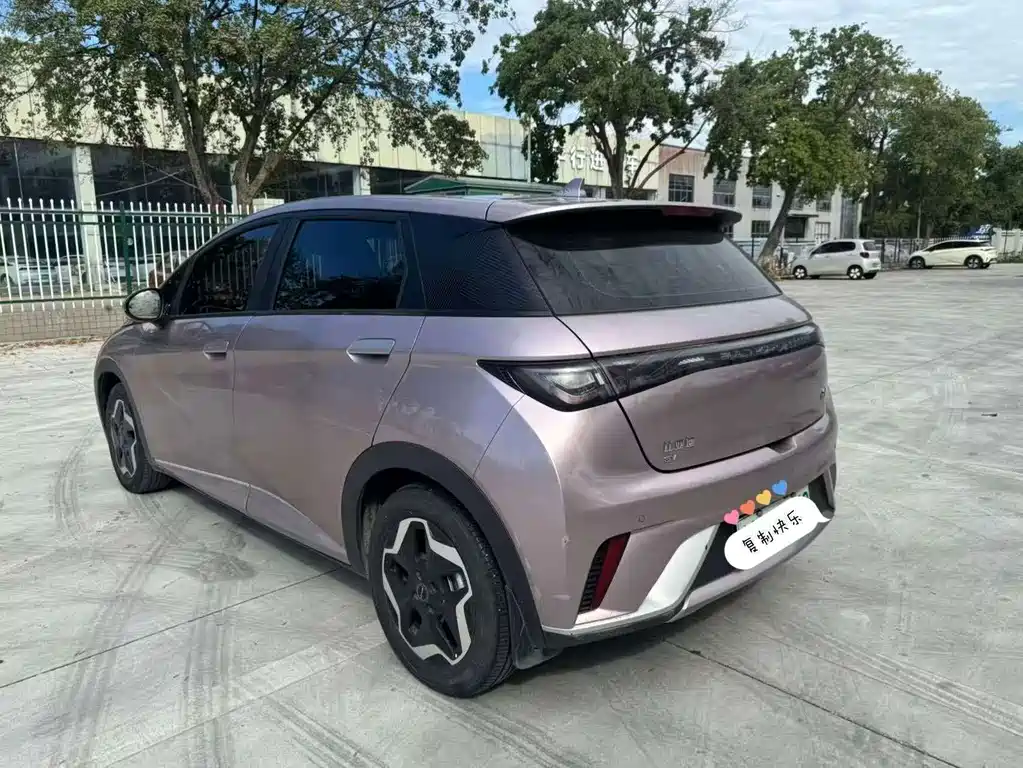BYD Dolphin — миниатюра 6